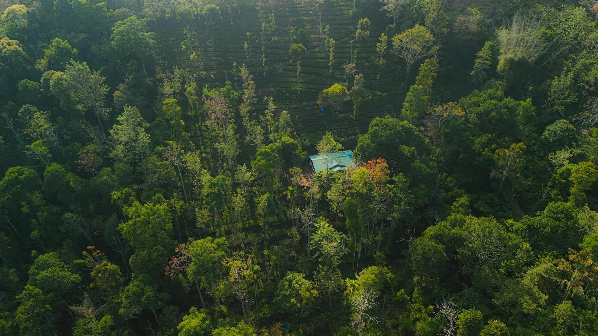 Villa Stone Bungalow Vagamon India