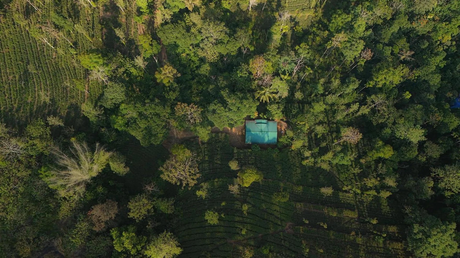 Stone Bungalow Vagamon India