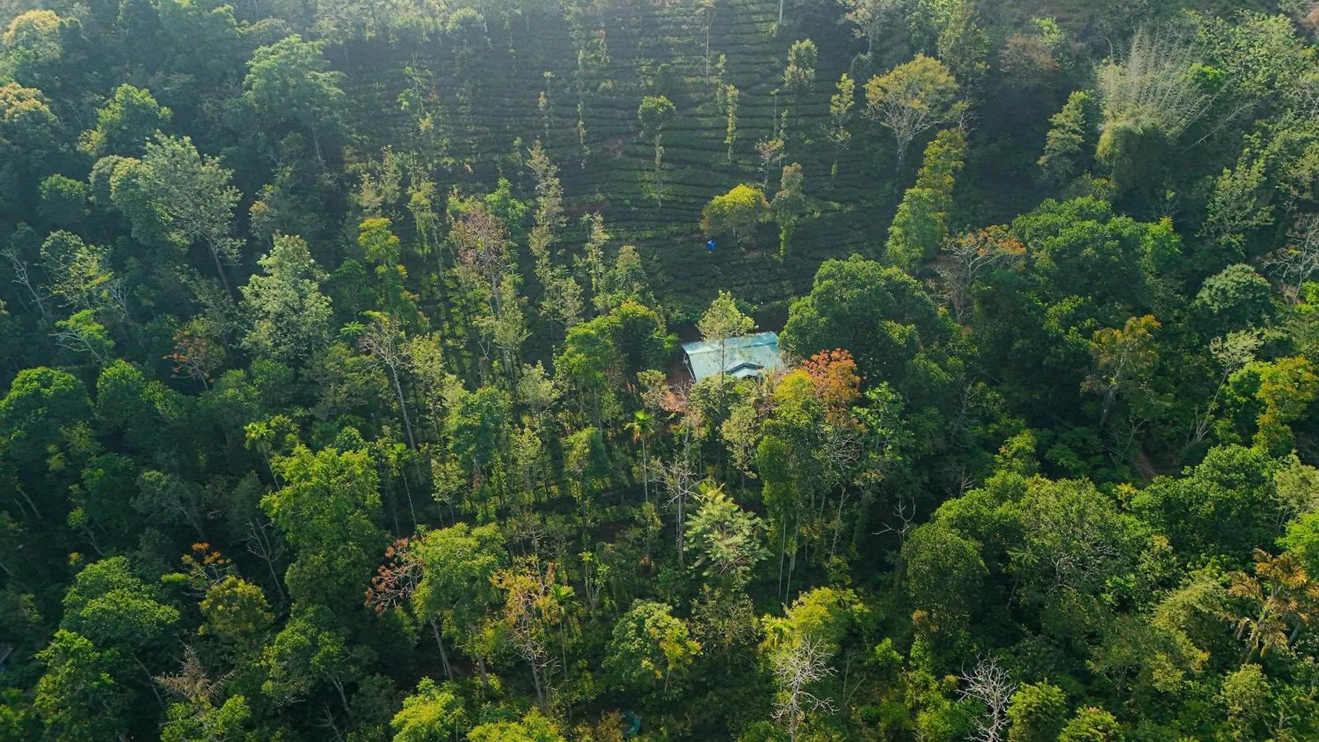Stone Bungalow Vagamon 0*,  India