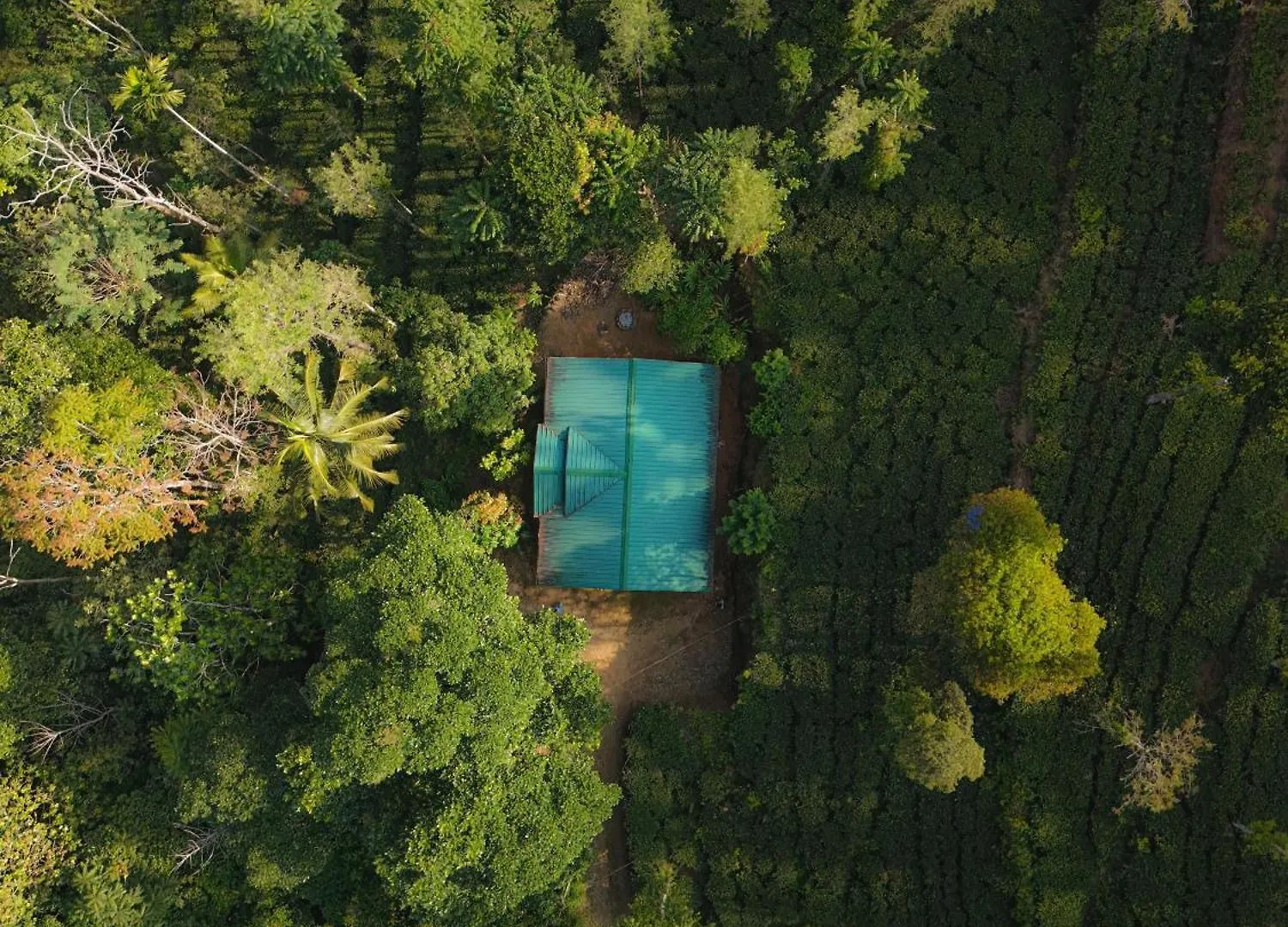 Villa Stone Bungalow Vagamon